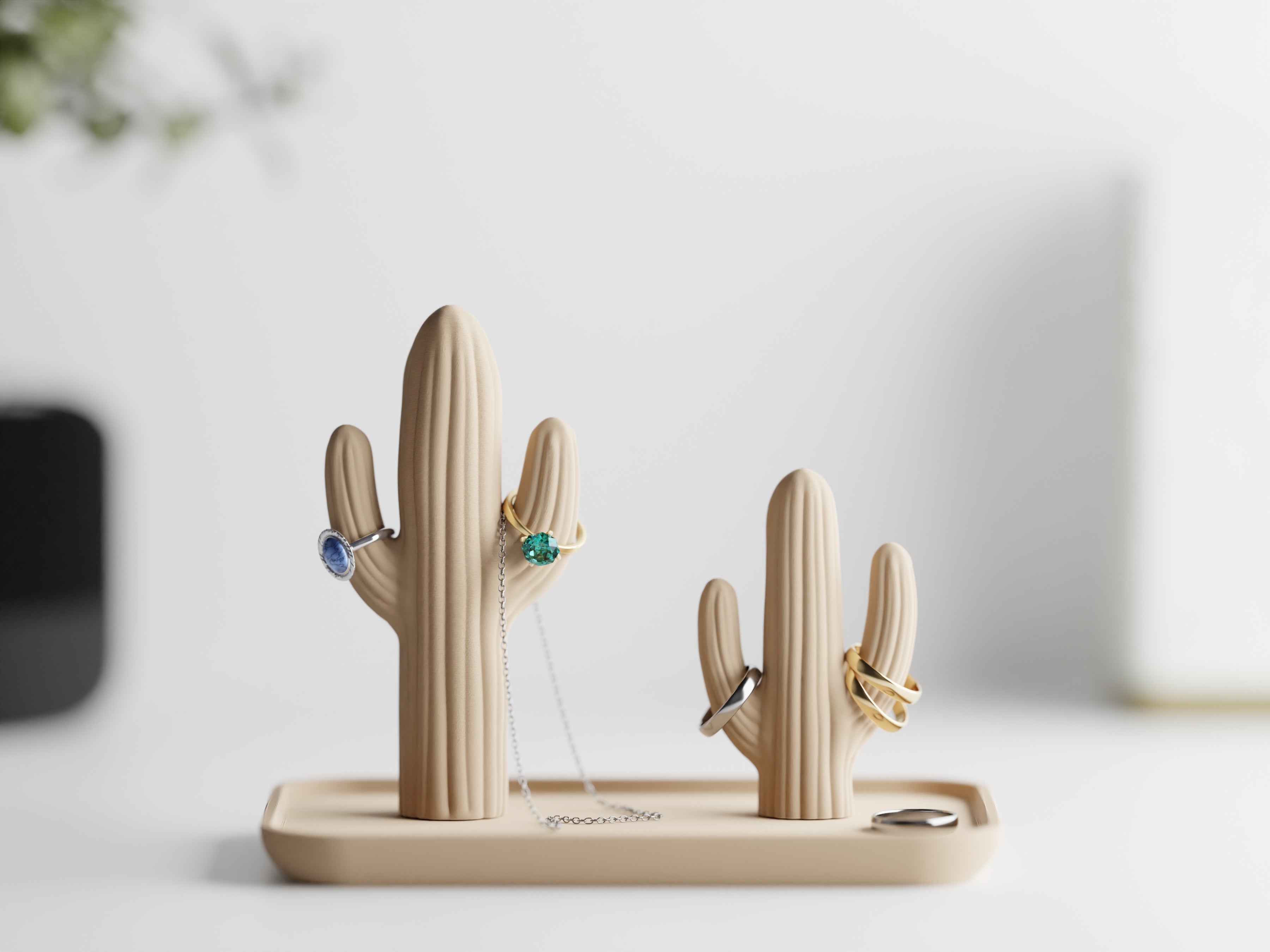 Portagioie a forma di cactus