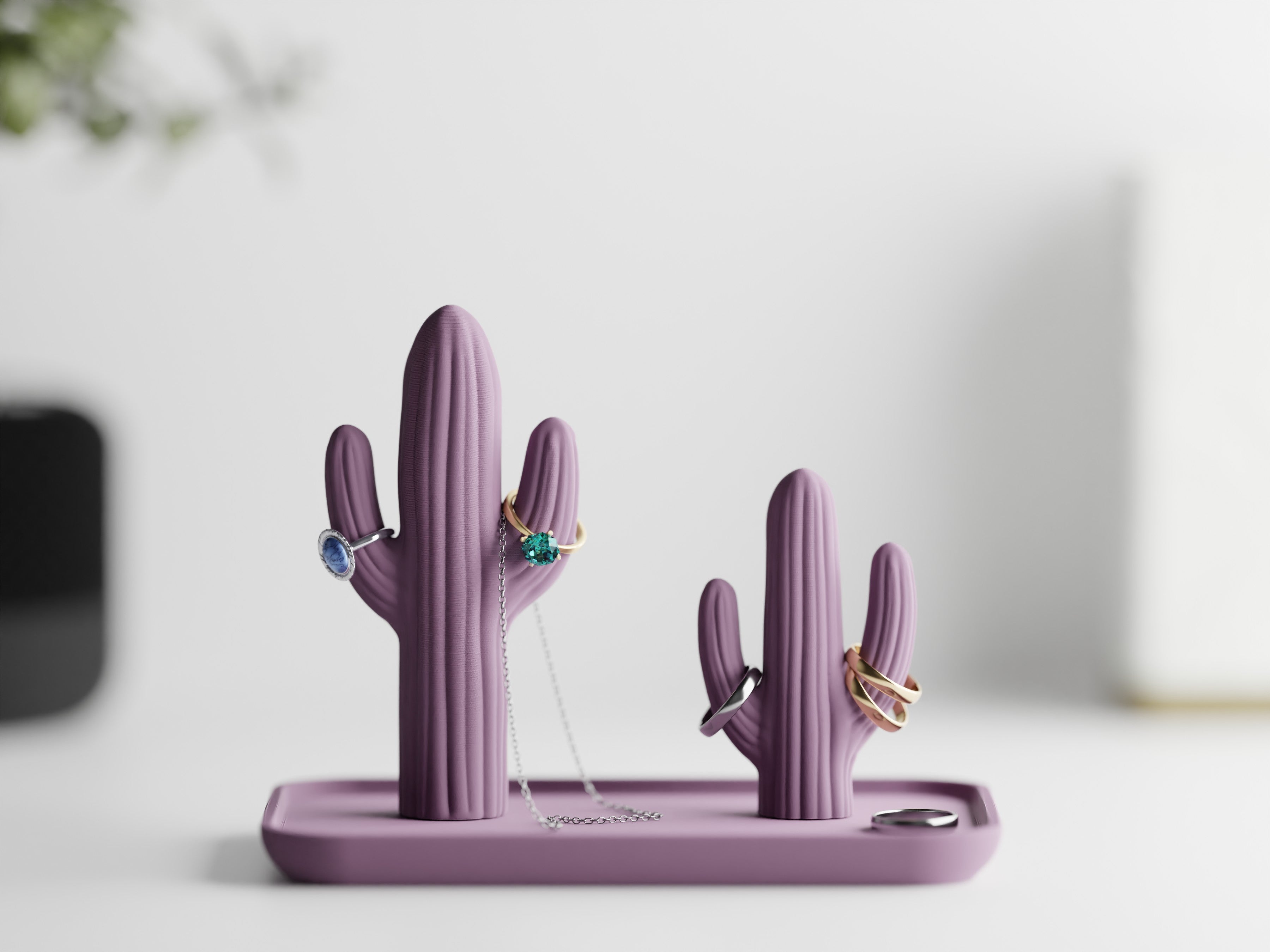 Portagioie a forma di cactus