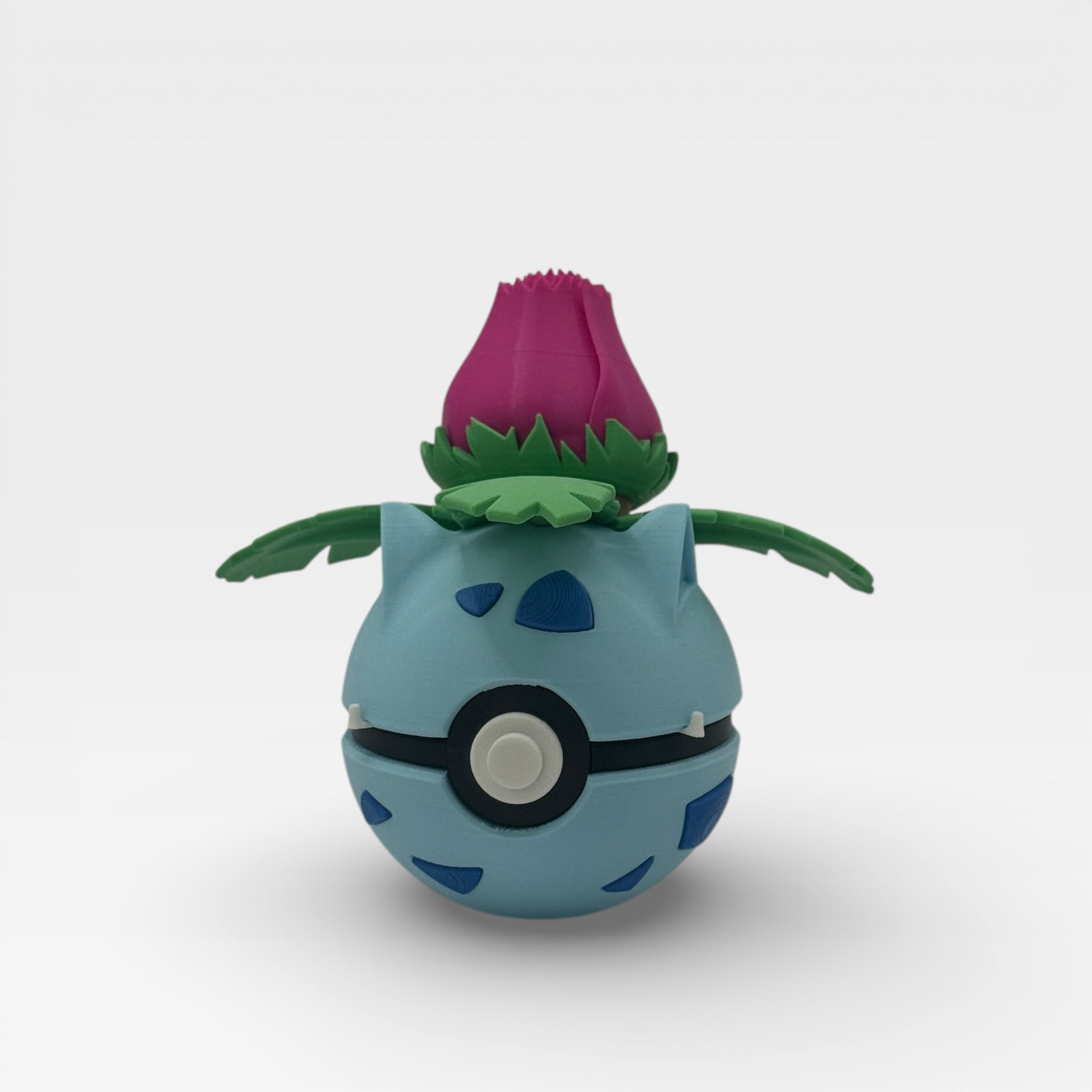 0002 - Bisamratte