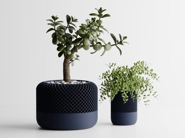 Vaso Echo