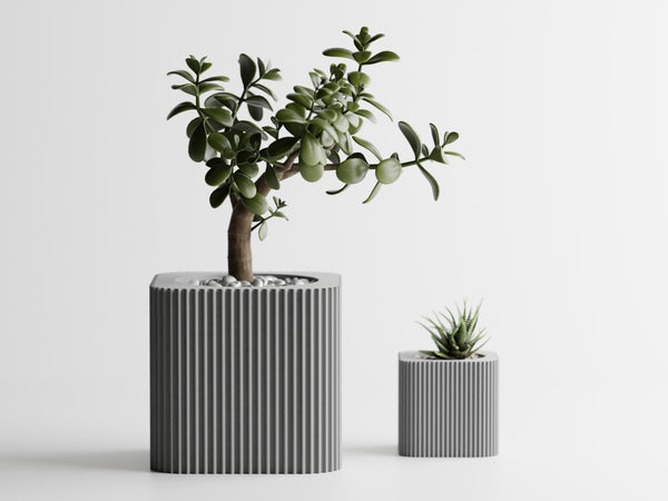 Vaso Linea