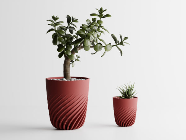 Vaso Ventra