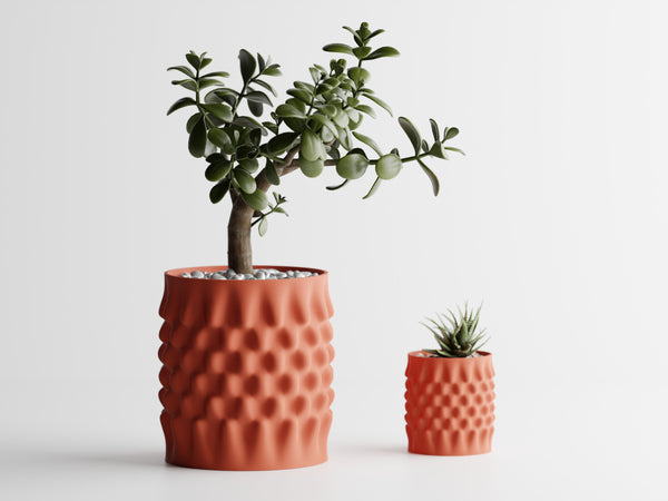 Vaso Dent