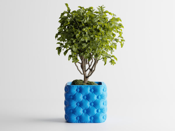Vaso Chesterra
