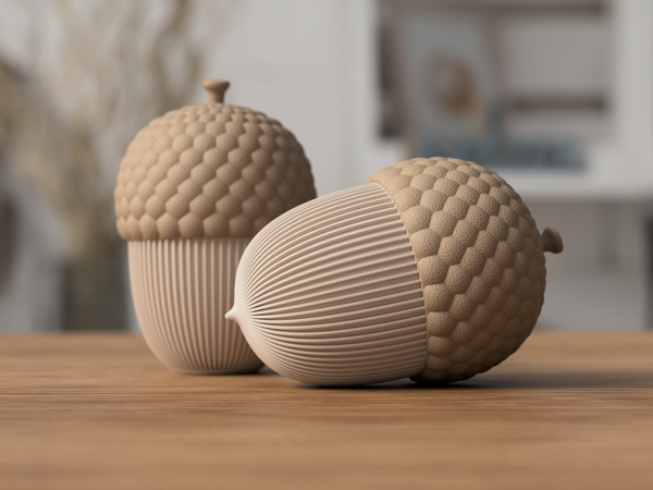 Acorn